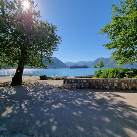 Studio On The Coast, With A View Of The Sunrise,Free We-Fi Kotor Zewnętrze zdjęcie