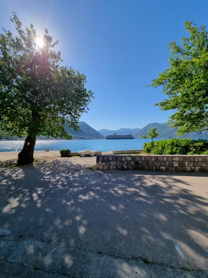 Studio On The Coast, With A View Of The Sunrise,Free We-Fi Kotor Zewnętrze zdjęcie