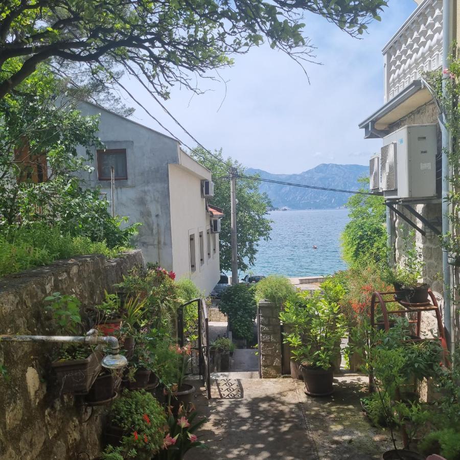 Studio On The Coast, With A View Of The Sunrise,Free We-Fi Kotor Zewnętrze zdjęcie