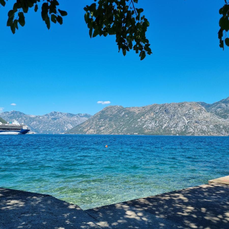 Studio On The Coast, With A View Of The Sunrise,Free We-Fi Kotor Zewnętrze zdjęcie