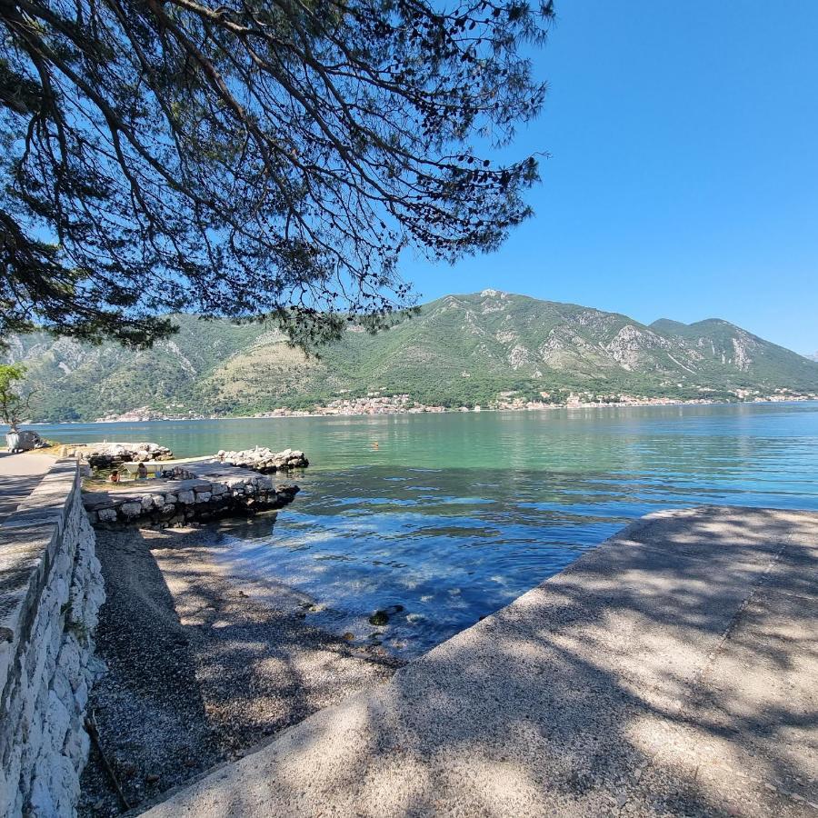 Studio On The Coast, With A View Of The Sunrise,Free We-Fi Kotor Zewnętrze zdjęcie